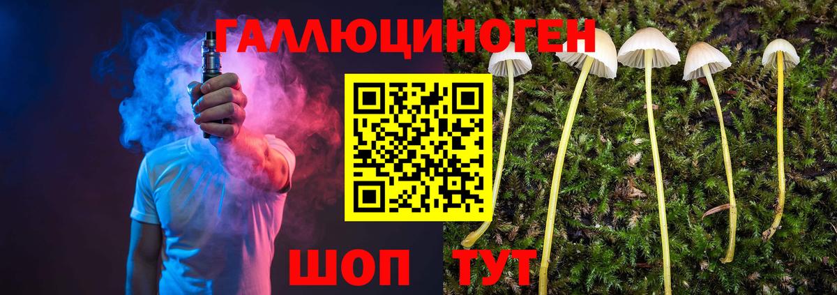 Новодвинск  Псилоцибиновые грибы мицелий  Вход с VPN 