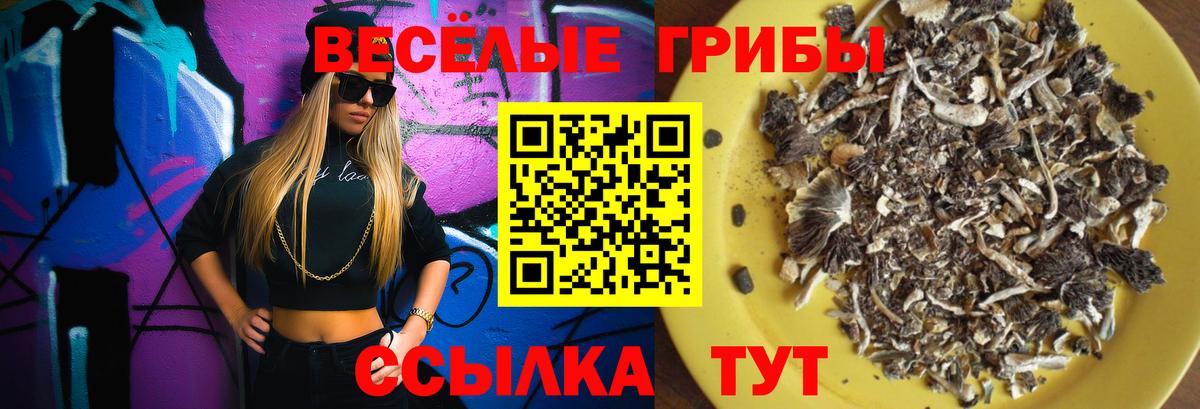 Псилоцибиновые грибы прущие грибы Новодвинск